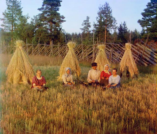 harvest harvest